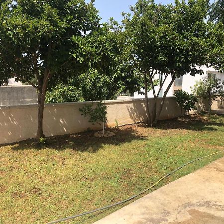Kožino M A Apartments מראה חיצוני תמונה
